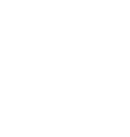 Pura Vida Paws